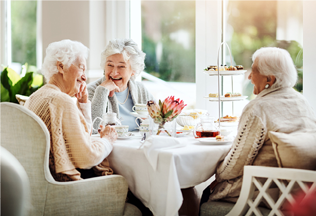 A trio of senior women dine together at an elegant setting at Amica.