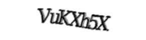 Security check image, please type the characters shown