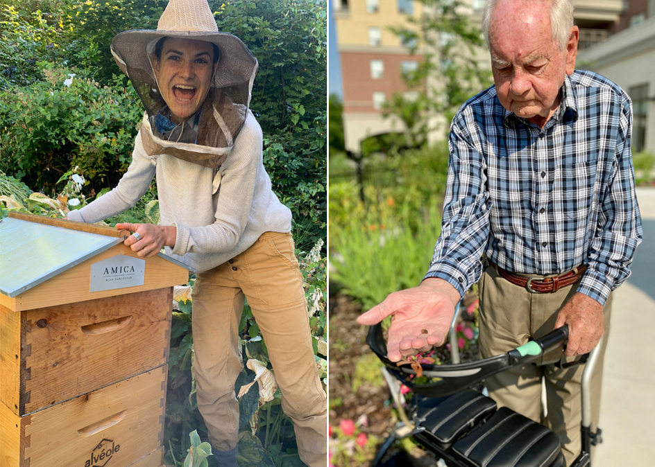 An Alveole bee keeper tends ot the hives at Amica West Vancouver