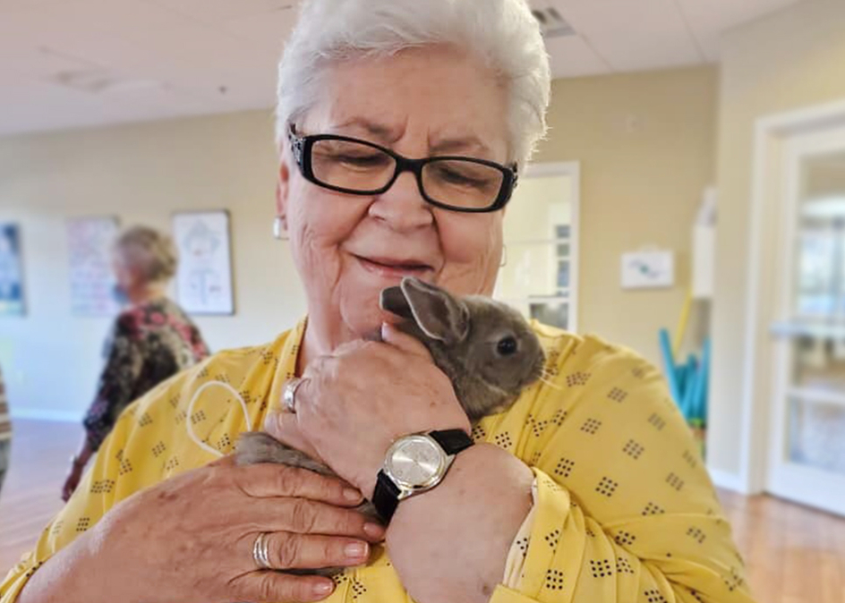 A close up image of a senior woman holding a little brown bunny.