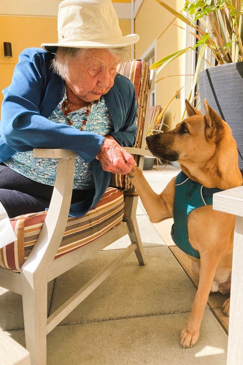 An Amica resident enjoying time with a therapy dog on a patio