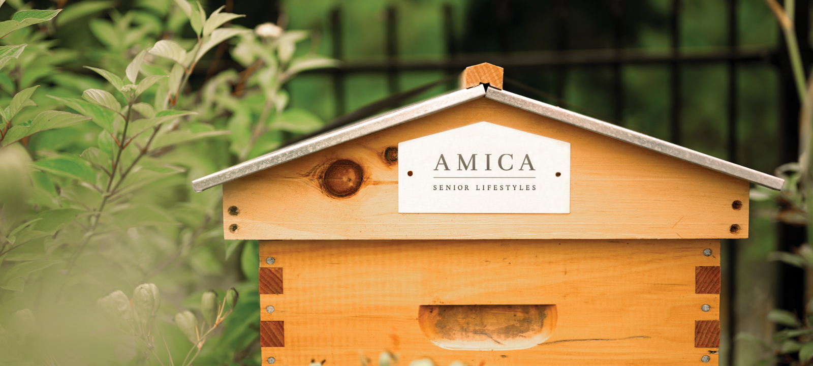 An Amica-branded honey hive in the garden at Amica Georgetown