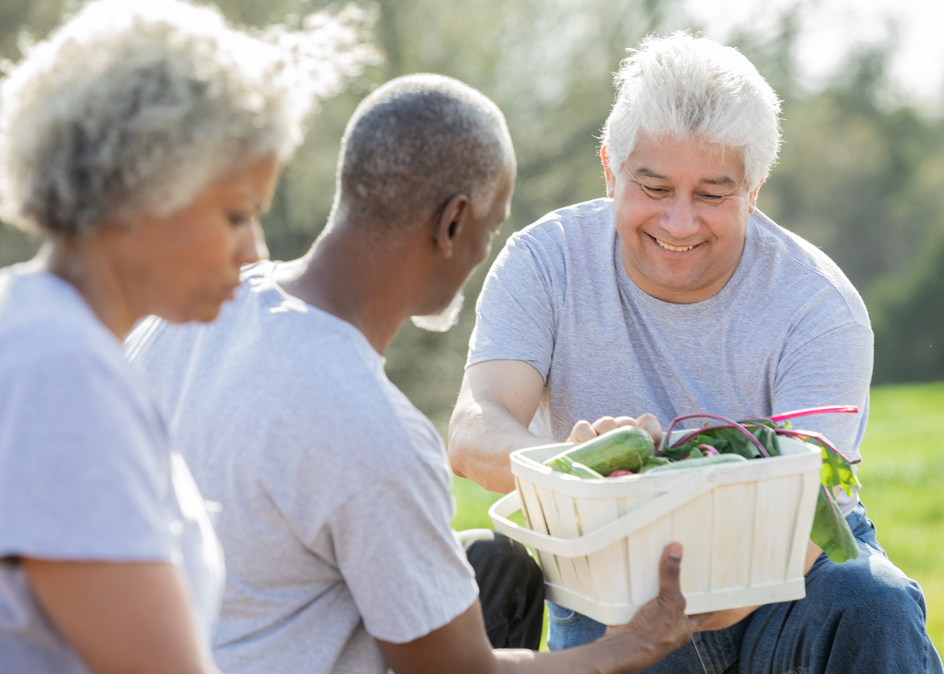 Group of senior volunteering with community garden project