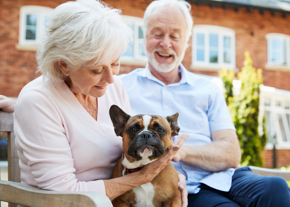 A senior couple sitting on a bench outside with a pet french bulldog.
