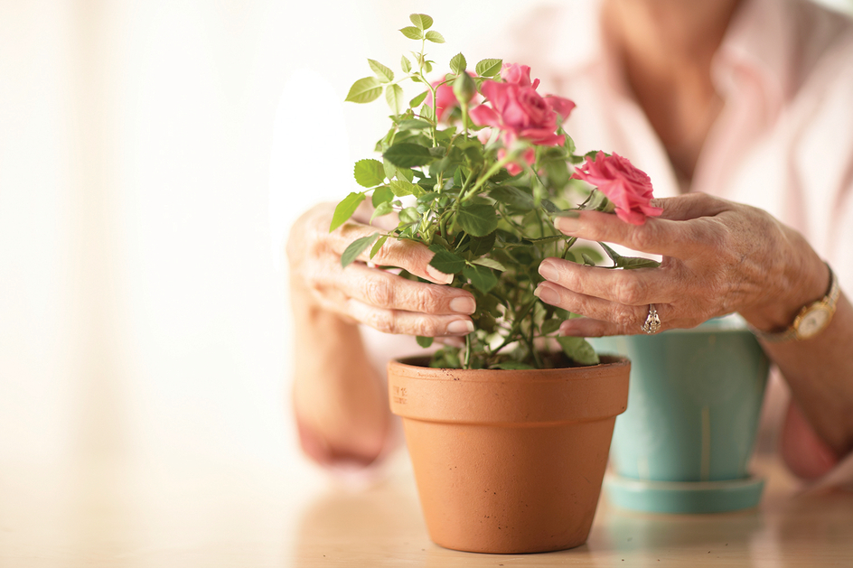 Image for Conversations Article Gardening for Seniors at Amica senior living residence.