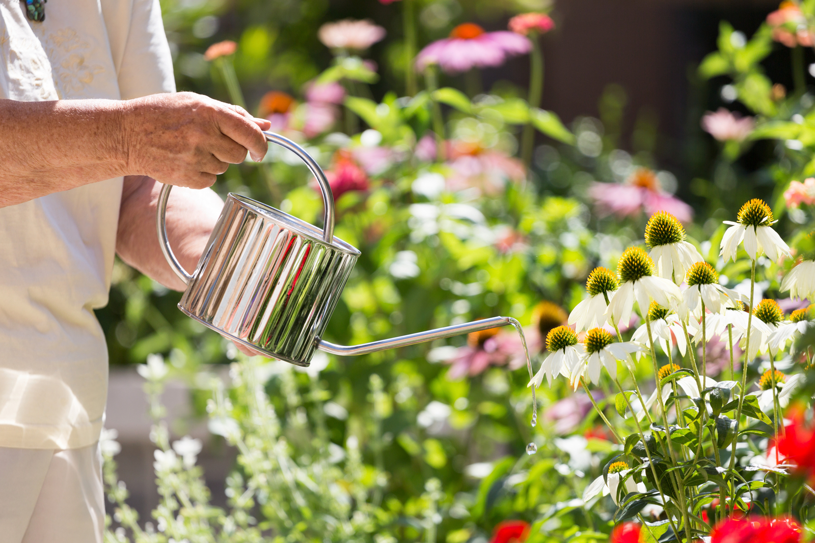 A senior is watering the flowers with a watering can in the inner courtyard of Amica Edgemont Village.