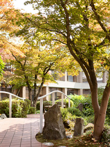 Park scenery at Amica Arbutus Manor senior living residence.