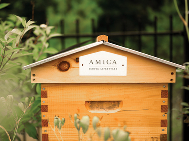 An Amica-branded honey hive in the garden at Amica Georgetown